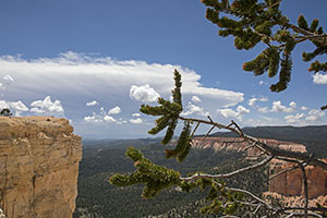 Utah-land